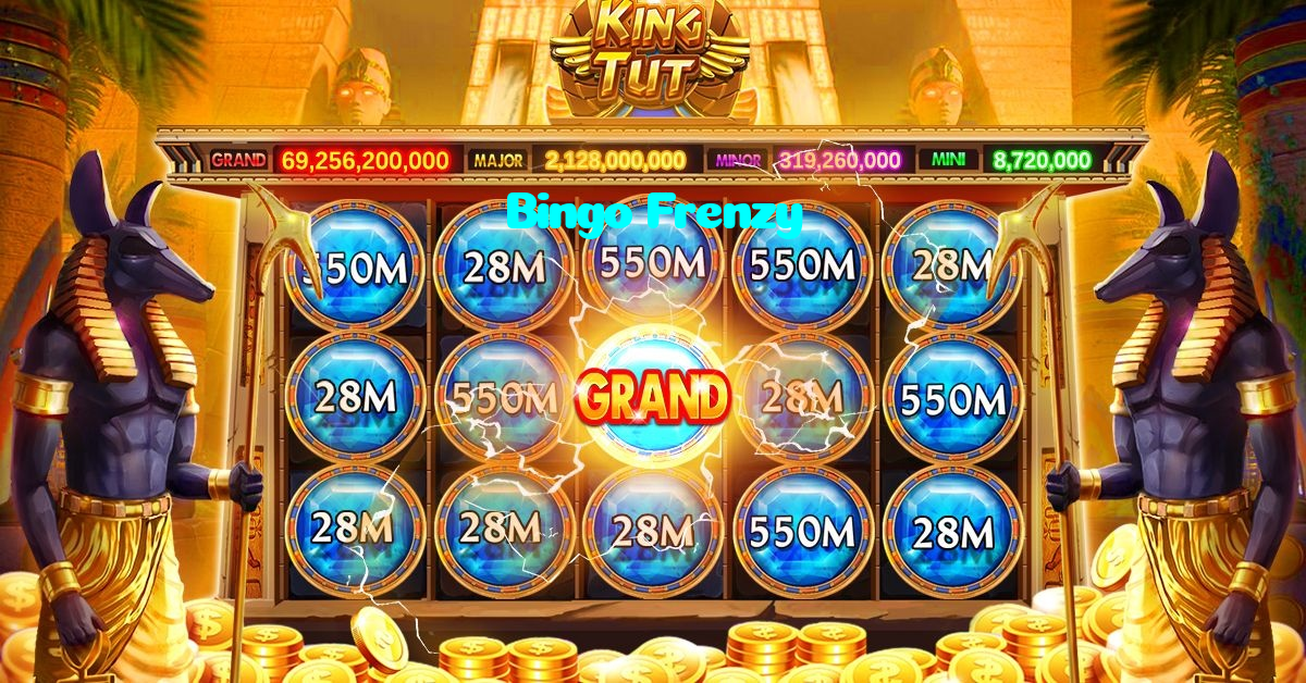 available types of Bingo Frenzy bet including pre-match live express and system bets